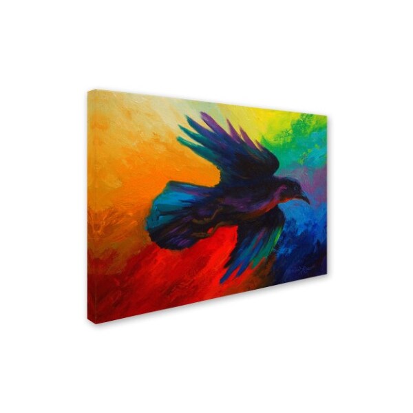 Marion Rose 'Crow 4' Canvas Art,24x32